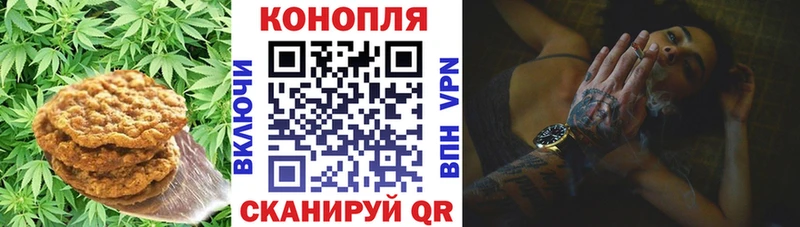 Cannafood конопля  площадка наркотические препараты  Суворов 