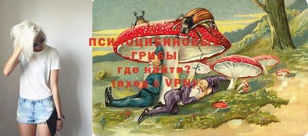 mdpv Бронницы